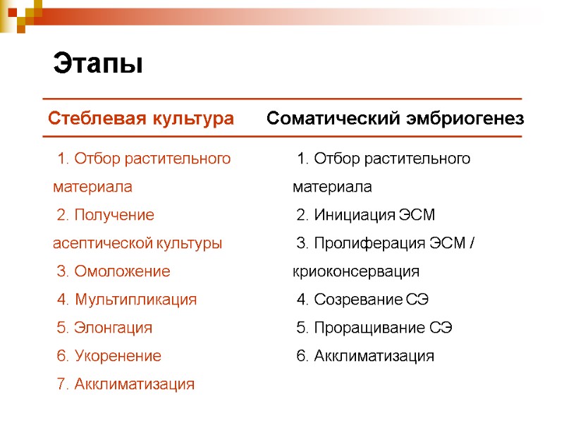 Этапы  1. Отбор растительного материала  2. Получение асептической культуры  3. Омоложение